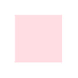 https://www.creativememories.ca/media/catalog/product/cache/28e256317b7f035742973c6950935ef1/c/r/creative-memories-light-pink-cardstock-soft-pink-660952.jpg