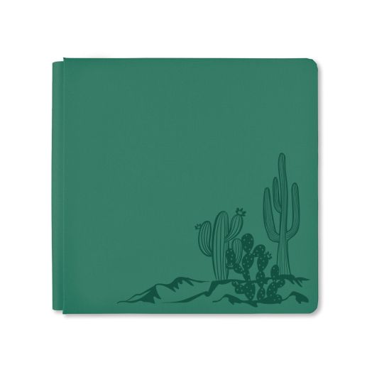 12x12 Cacti Landscape Album Cover