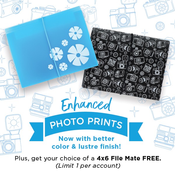 Creative Memories F2Fアルバムセット Full Card Kits - Creative Memories