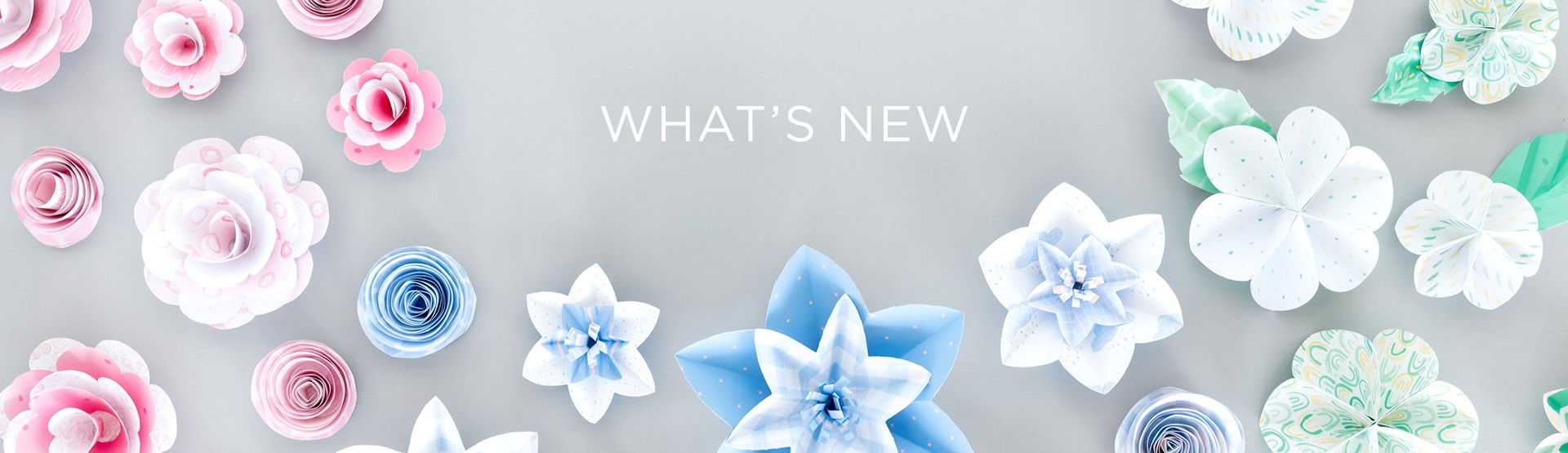 What's New What's New